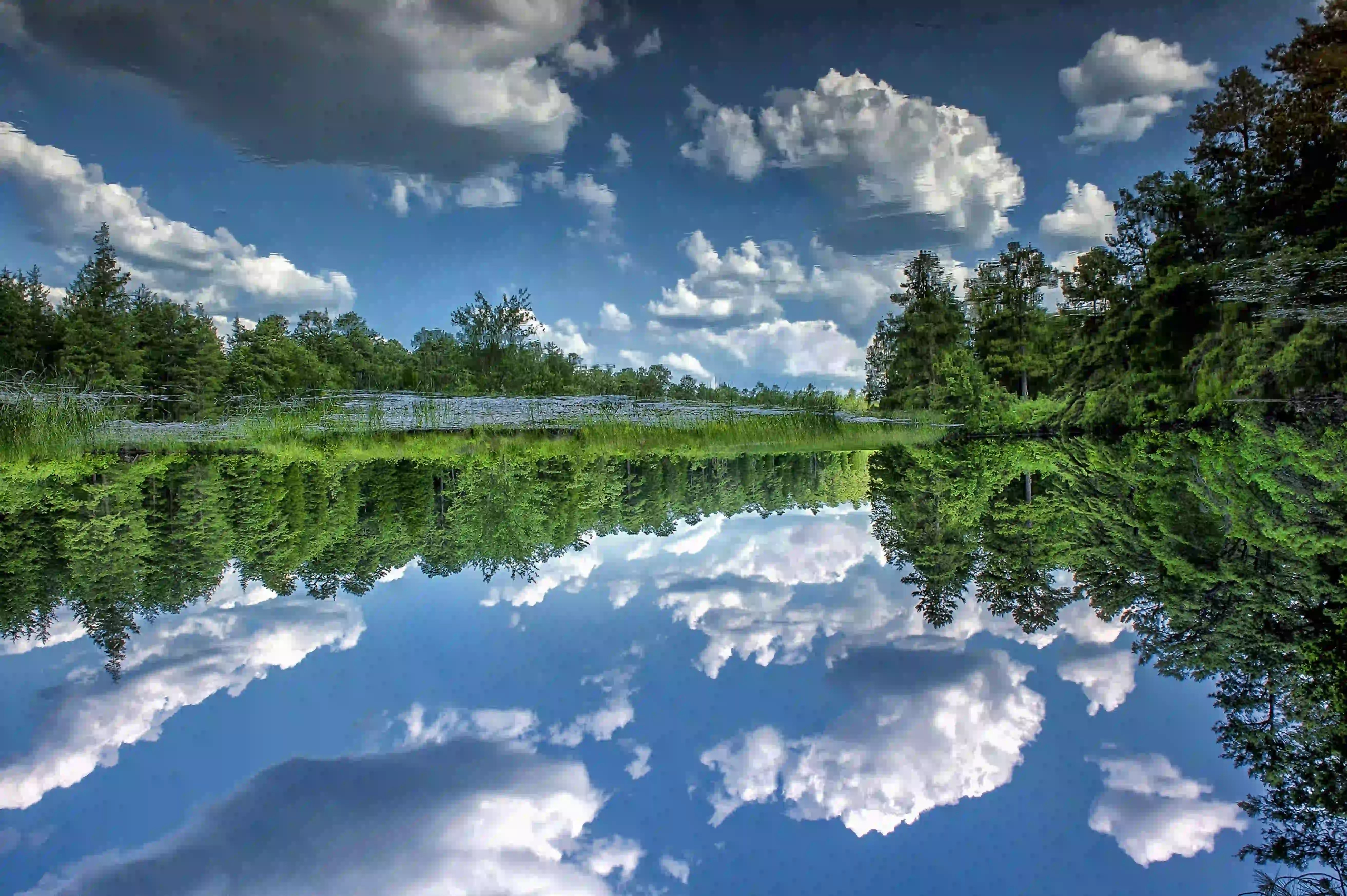 Pinelands Preservation Alliance